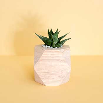 电话轰在线网页版入口